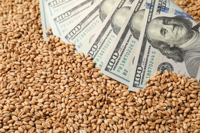 Photo of Dollar banknotes on wheat grains, closeup. Agricultural business