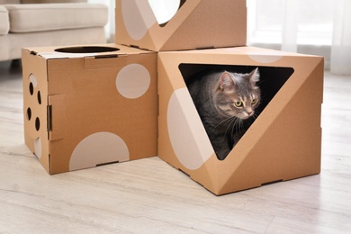 Photo of Cute gray tabby cat inside cardboard house in room. Lovely pet