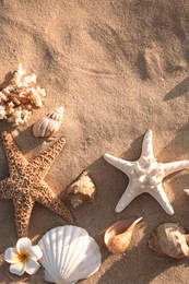 Flat lay composition with starfishes and seashells on sandy beach. Space for text