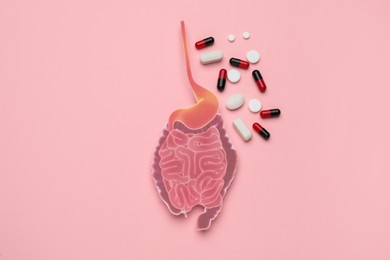 Photo of Paper cutout of small intestine and pills on pink background, flat lay