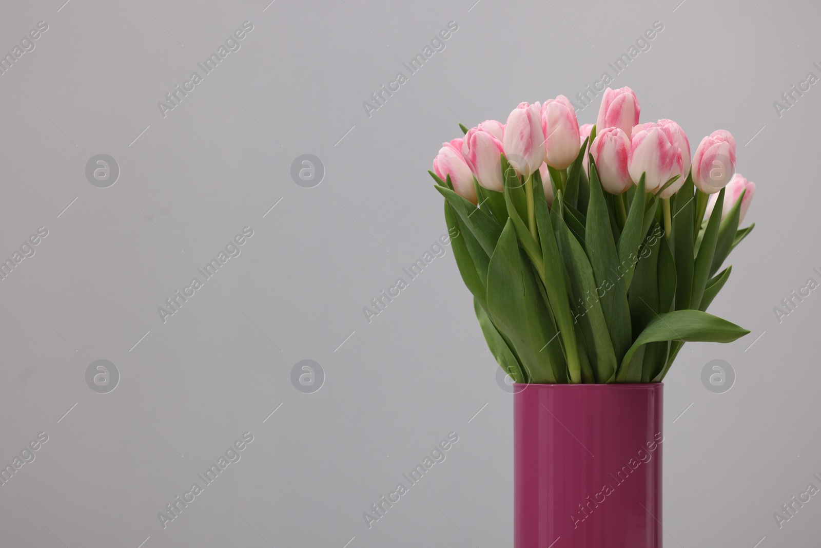 Photo of Beautiful bouquet of fresh pink tulips on light grey background. Space for text