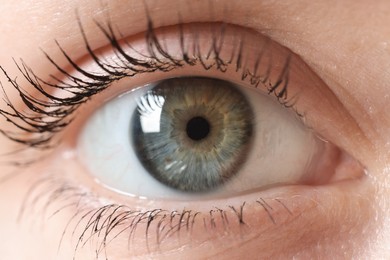 Photo of Macro photo of woman with beautiful eyes