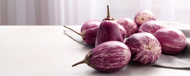 Image of Raw ripe eggplants on light table, space for text. Banner design
