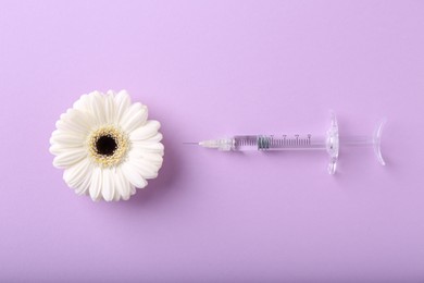 Photo of Cosmetology. Medical syringe and gerbera flower on violet background, flat lay