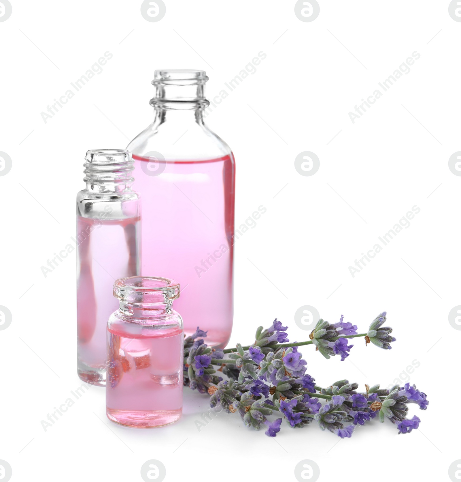 Photo of Bottles of essential oil and lavender flowers isolated on white