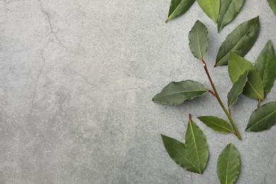 Aromatic bay leaves on light gray table, flat lay. Space for text