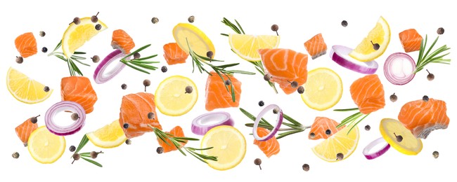 Pieces of delicious fresh raw salmon and different spices on white background. Banner design 