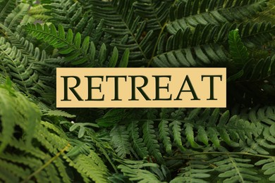Image of Sign Retreat on green fern plant with lush leaves, closeup
