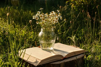 Photo of Open book and jar with chamomiles on green grass outdoors