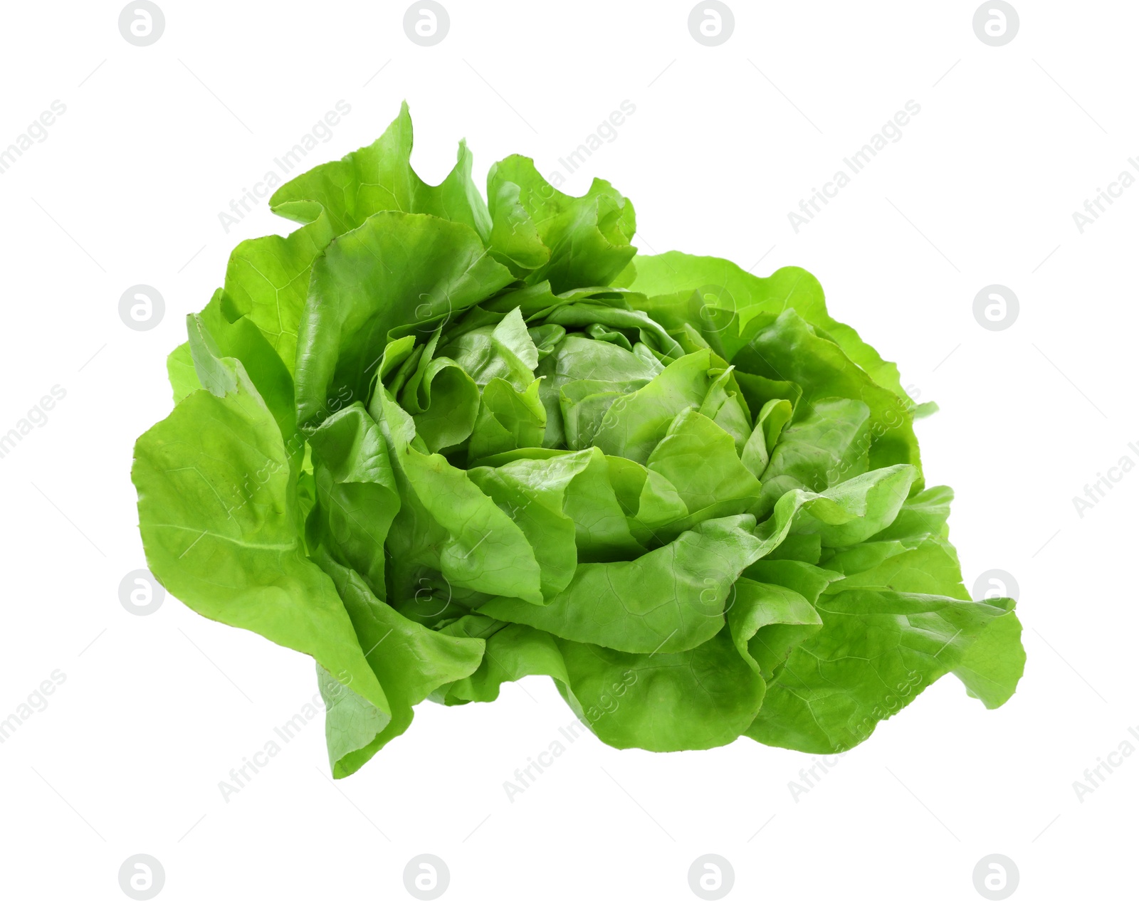 Photo of Fresh green butter lettuce head isolated on white