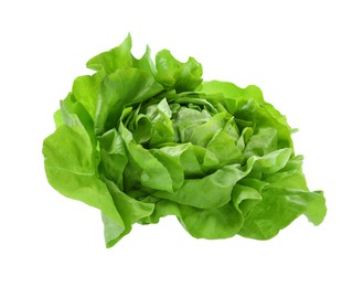 Photo of Fresh green butter lettuce head isolated on white