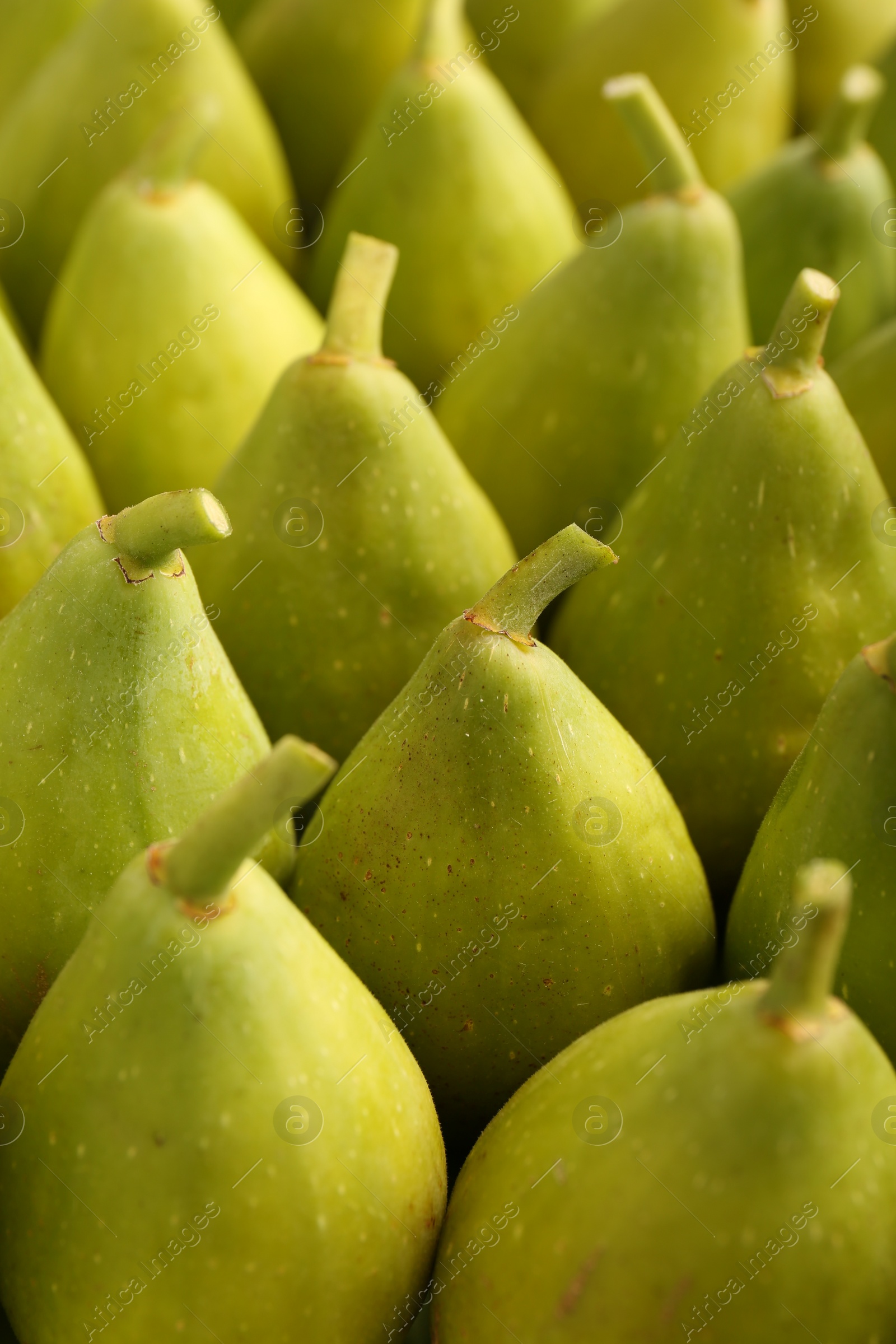 Photo of Many fresh green figs as background, closeup