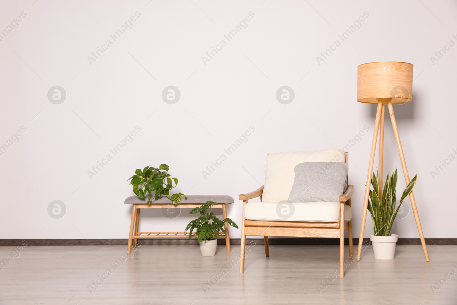 Photo of Stylish armchair, floor lamp and plants near white wall, space for text. Interior design