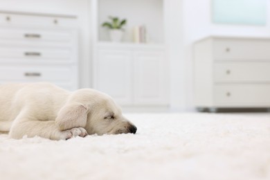 Photo of Cute little puppy lying on white carpet at home, closeup. Space for text