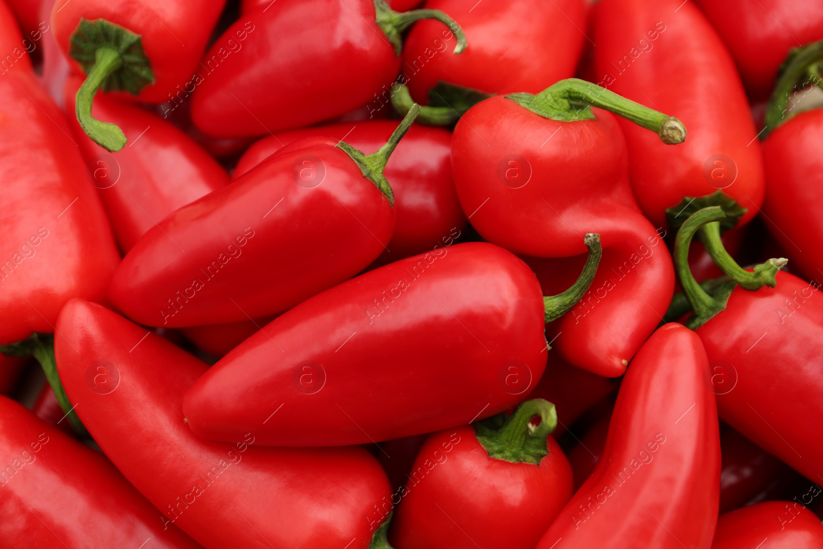 Photo of Red hot chili peppers as background, top view