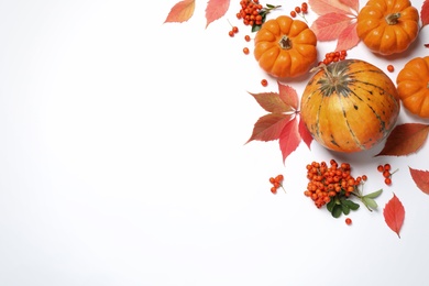 Photo of Flat lay composition with pumpkins, berries and autumn leaves on white background, space for text. Thanksgiving Day