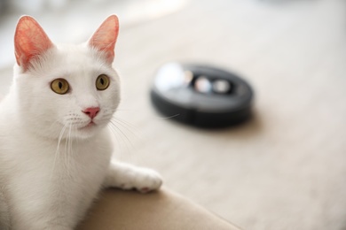 Cute white cat and modern robotic vacuum cleaner indoors. Space for text