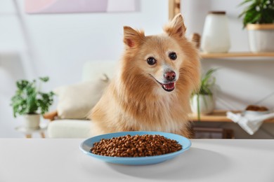 Photo of Cute Pomeranian spitz at table with dry dog food indoors