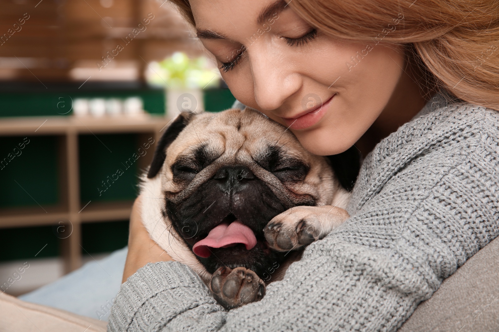 Photo of Woman with cute pug dog at home, closeup. Animal adoption