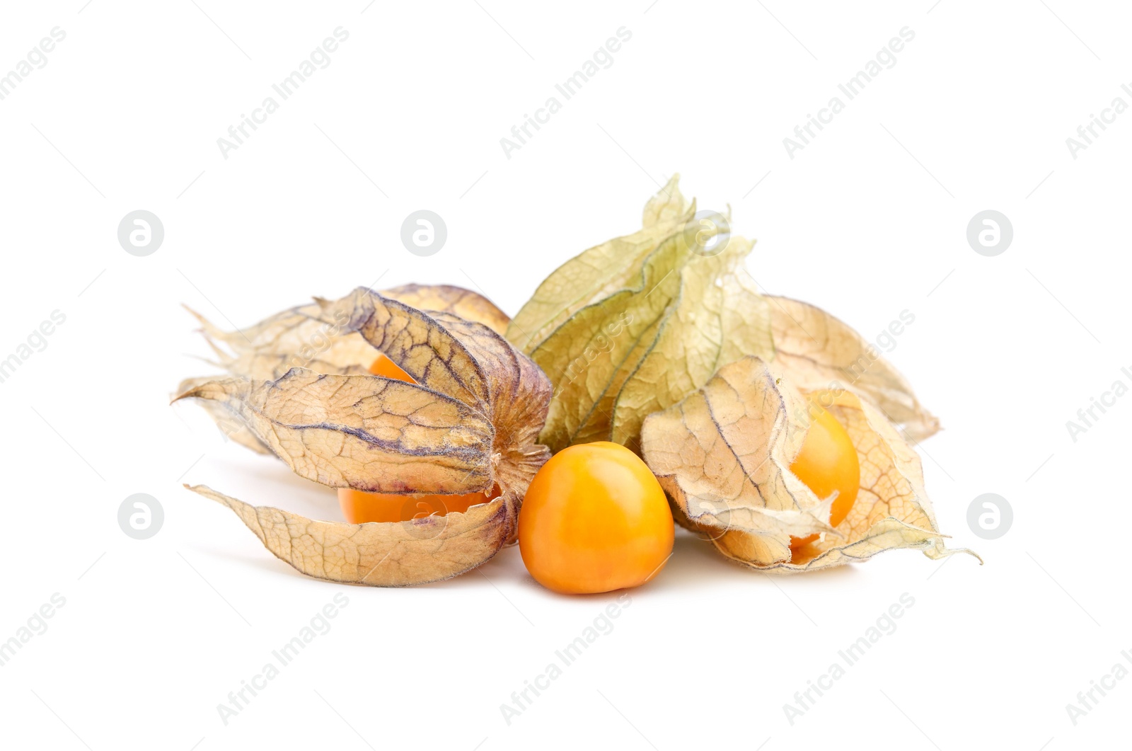 Photo of Many ripe physalis fruits with calyxes isolated on white