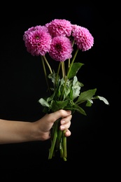 Photo of Woman holding beautiful violet dahlia flowers on black background, closeup