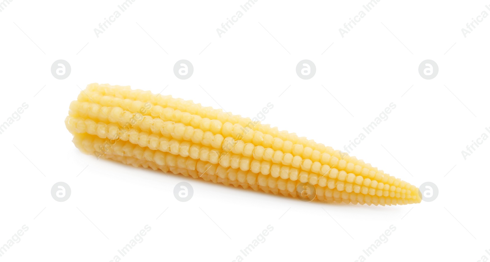 Photo of Fresh baby corn cob on white background