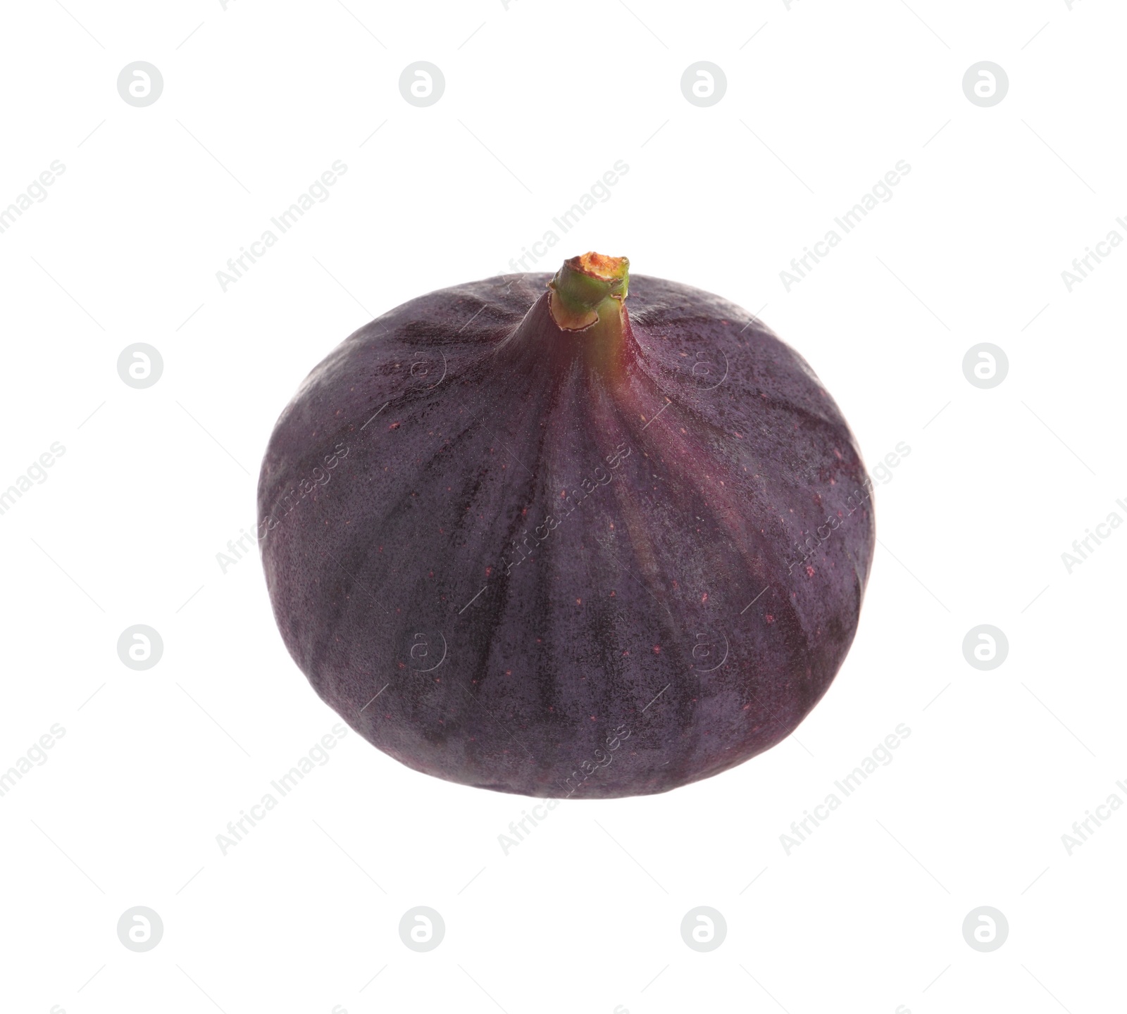 Photo of Whole ripe fresh fig isolated on white