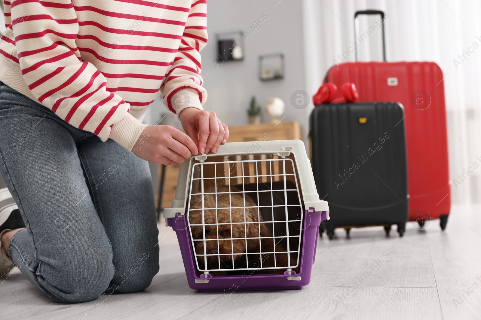 Photo of Woman closing carrier with her pet before travelling indoors, closeup. Space for text