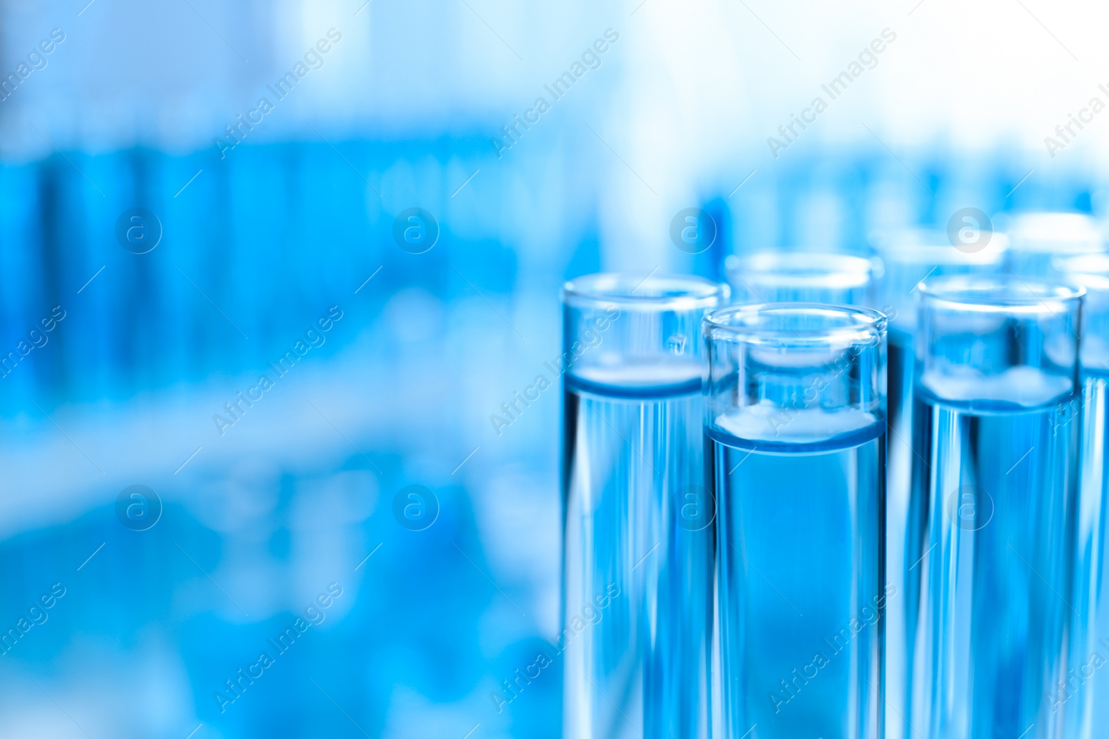 Photo of Test tubes with liquid samples for analysis in laboratory, closeup. Space for text