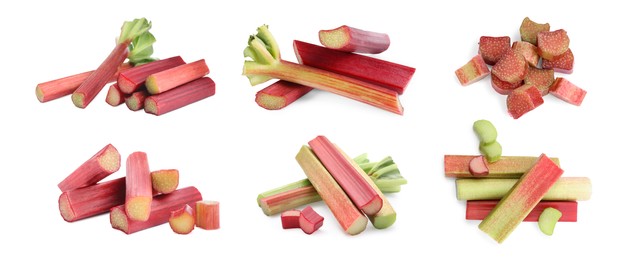 Set with fresh rhubarb stalks isolated on white