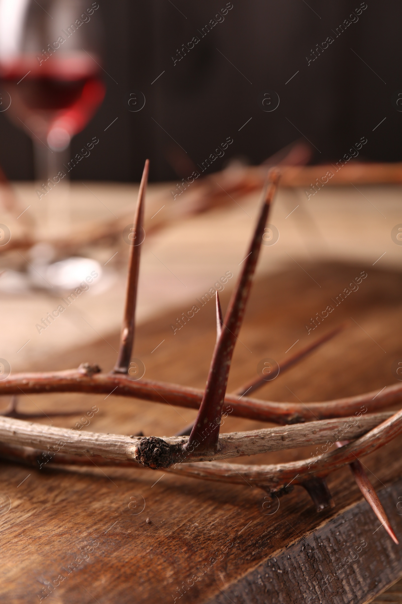 Photo of Crownthorns and glass with wine on wooden table, selective focus