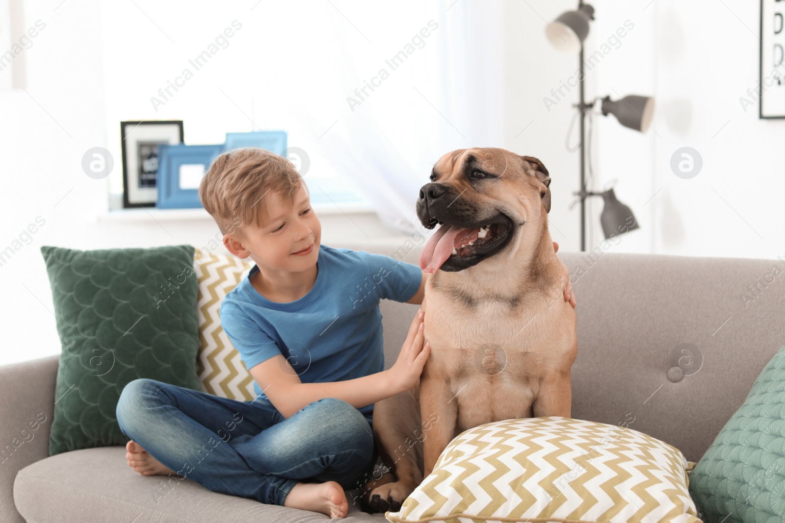 Photo of Cute little child with dog on couch at home