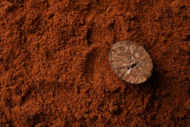 Photo of Piece of nutmeg seed on powder, top view