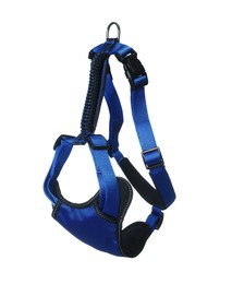 Photo of Blue dog harness isolated on white. Pet accessory