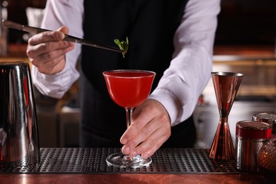 Bartender preparing fresh Martini cocktail in glass at bar counter, closeup