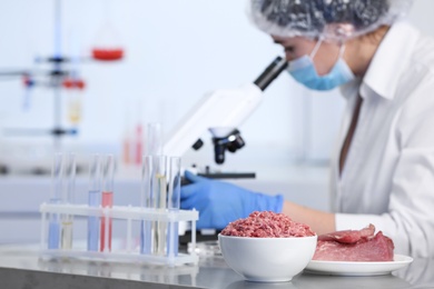 Photo of Scientist proceeding quality control in laboratory. Meat analysis