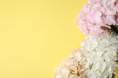 Beautiful pastel hydrangea flowers on yellow background, top view. Space for text