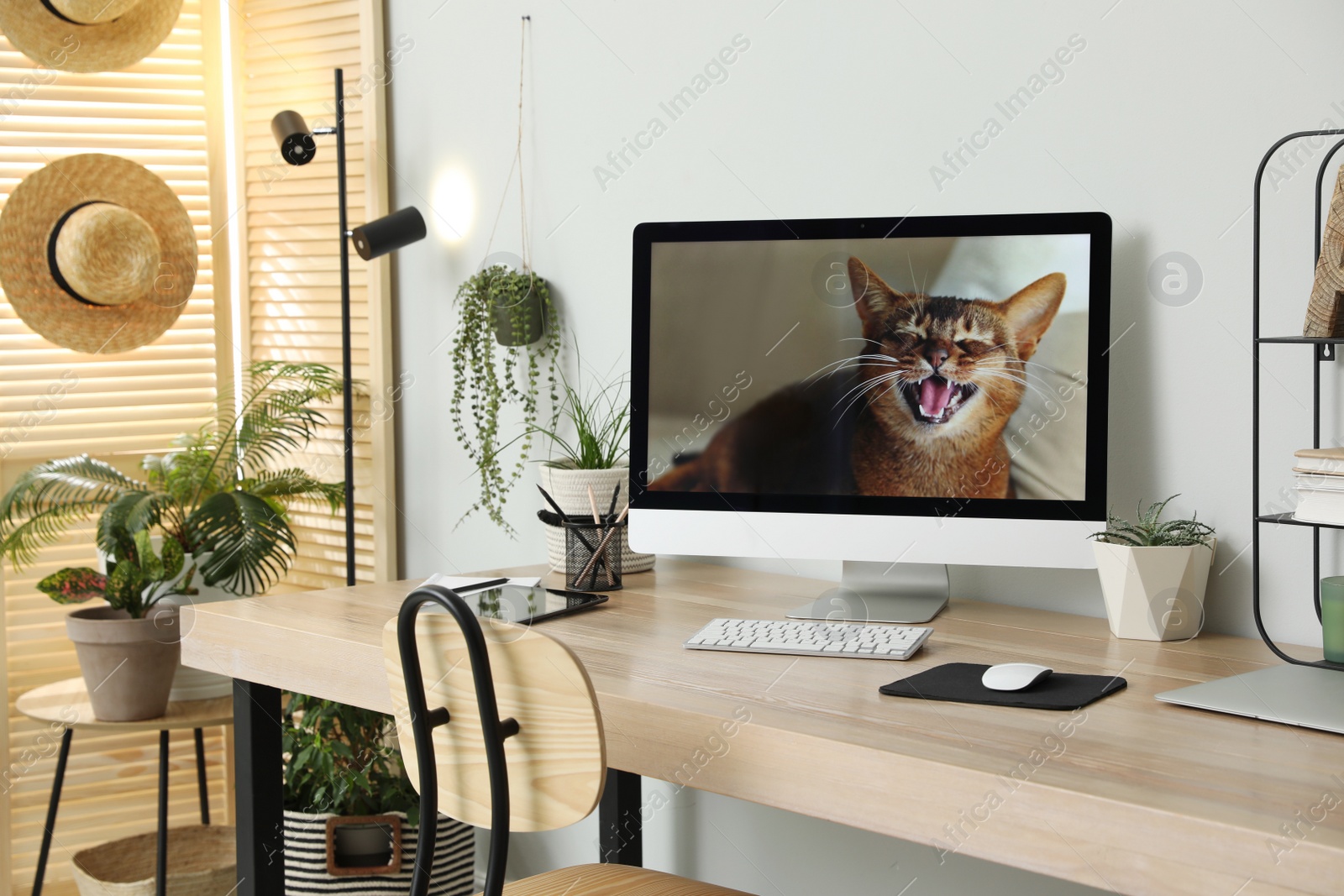 Photo of Comfortable workplace with computer in light room. Interior design