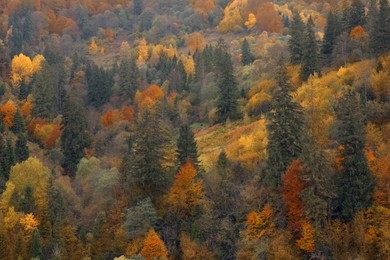 Beautiful landscape with forest in mountains on autumn day