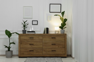 Photo of Stylish room interior with chest of drawers, decor elements and houseplants