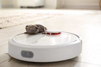 Photo of Robotic vacuum cleaner and bearded dragon lizard indoors