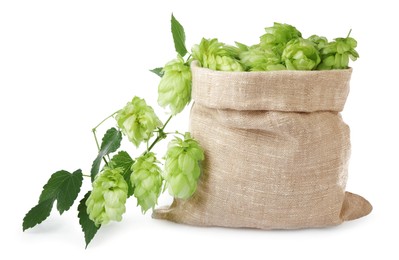 Photo of Sack with fresh green hops on white background
