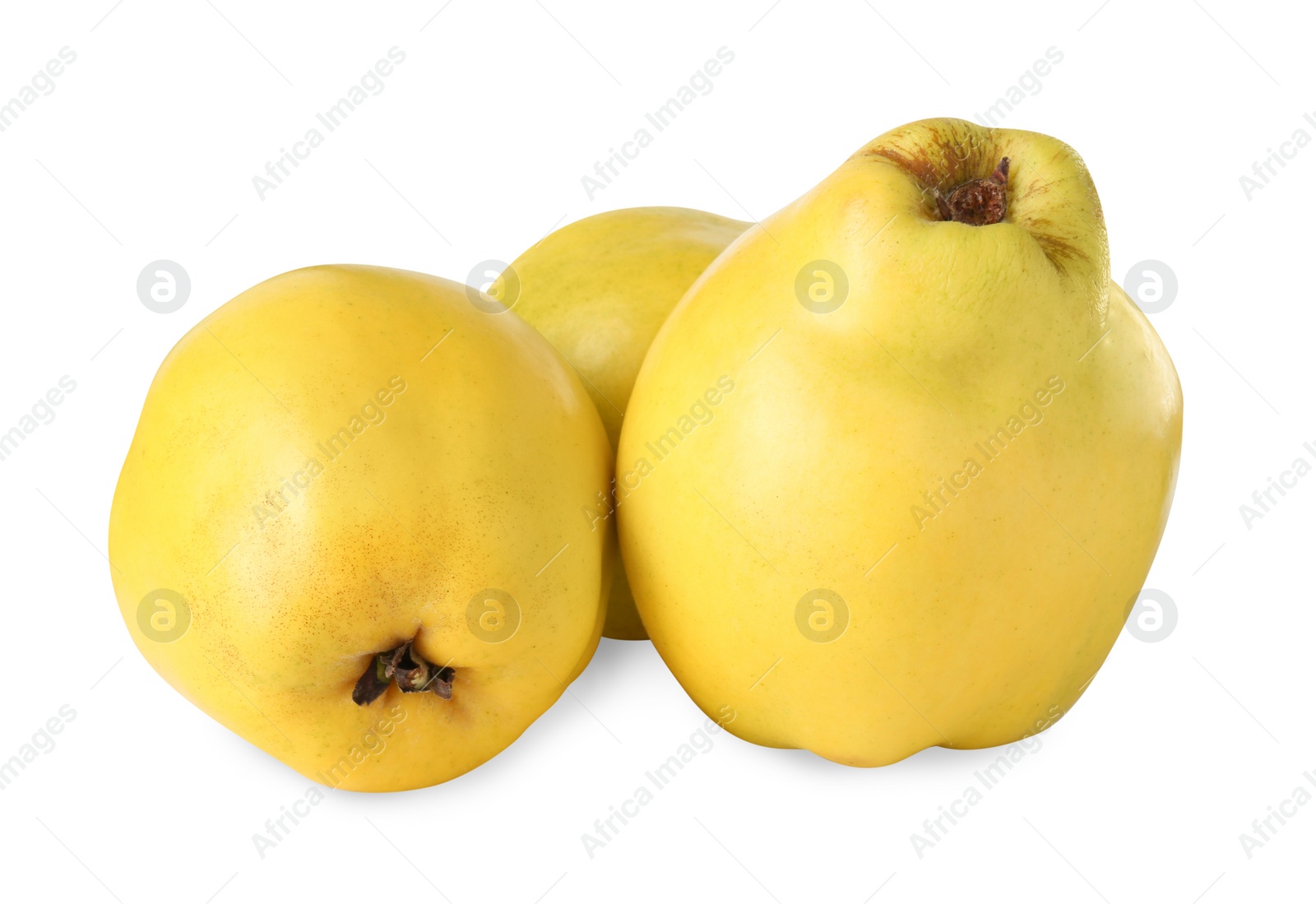 Photo of Delicious fresh ripe quinces isolated on white