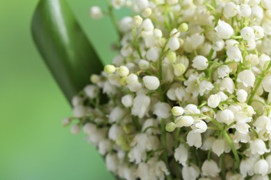 Beautiful lily of the valley flowers on blurred green background, closeup