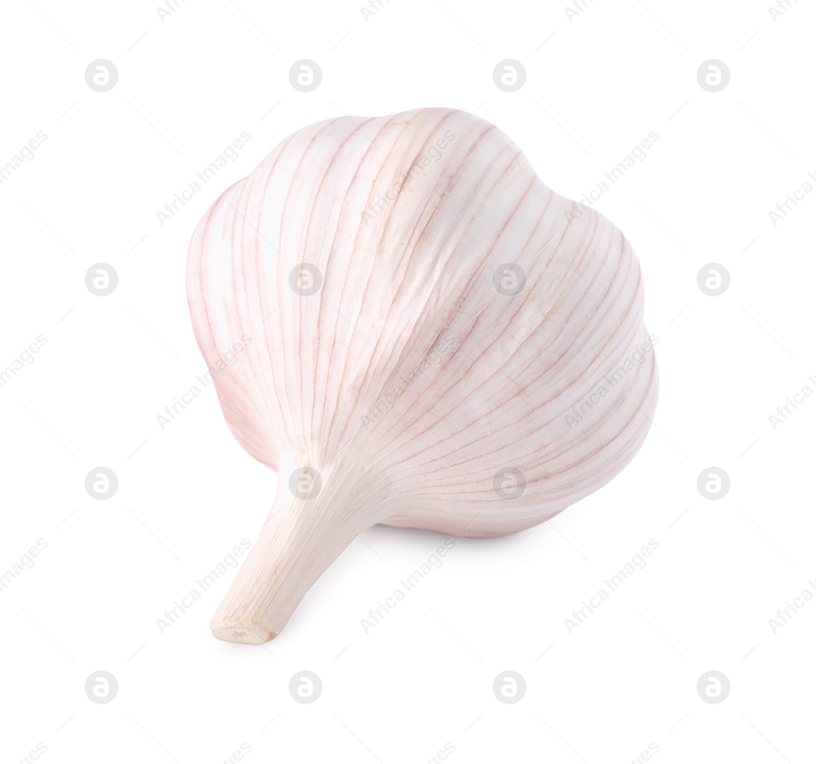 Photo of Head of fresh garlic isolated on white