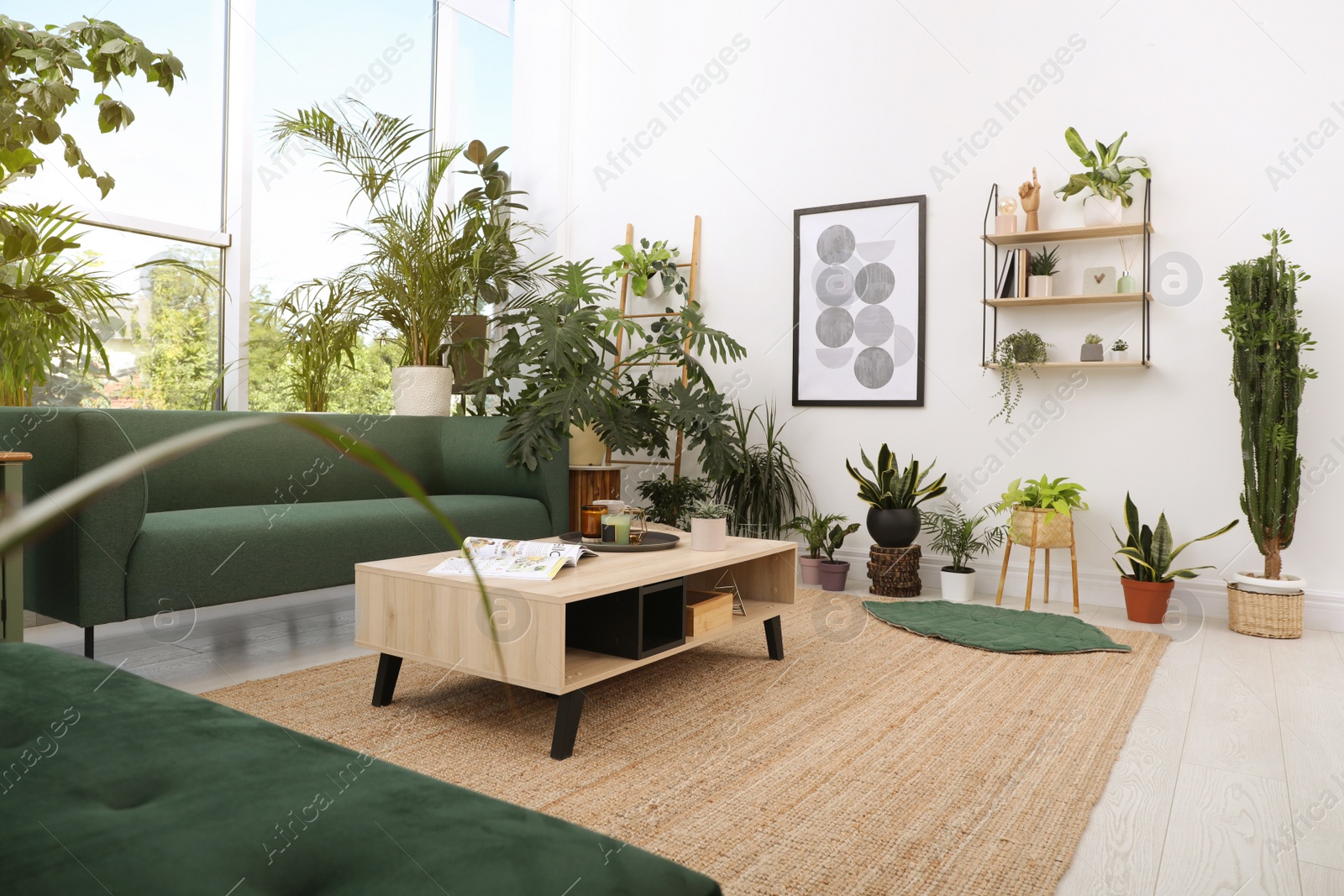 Photo of Living room interior with modern furniture and houseplants