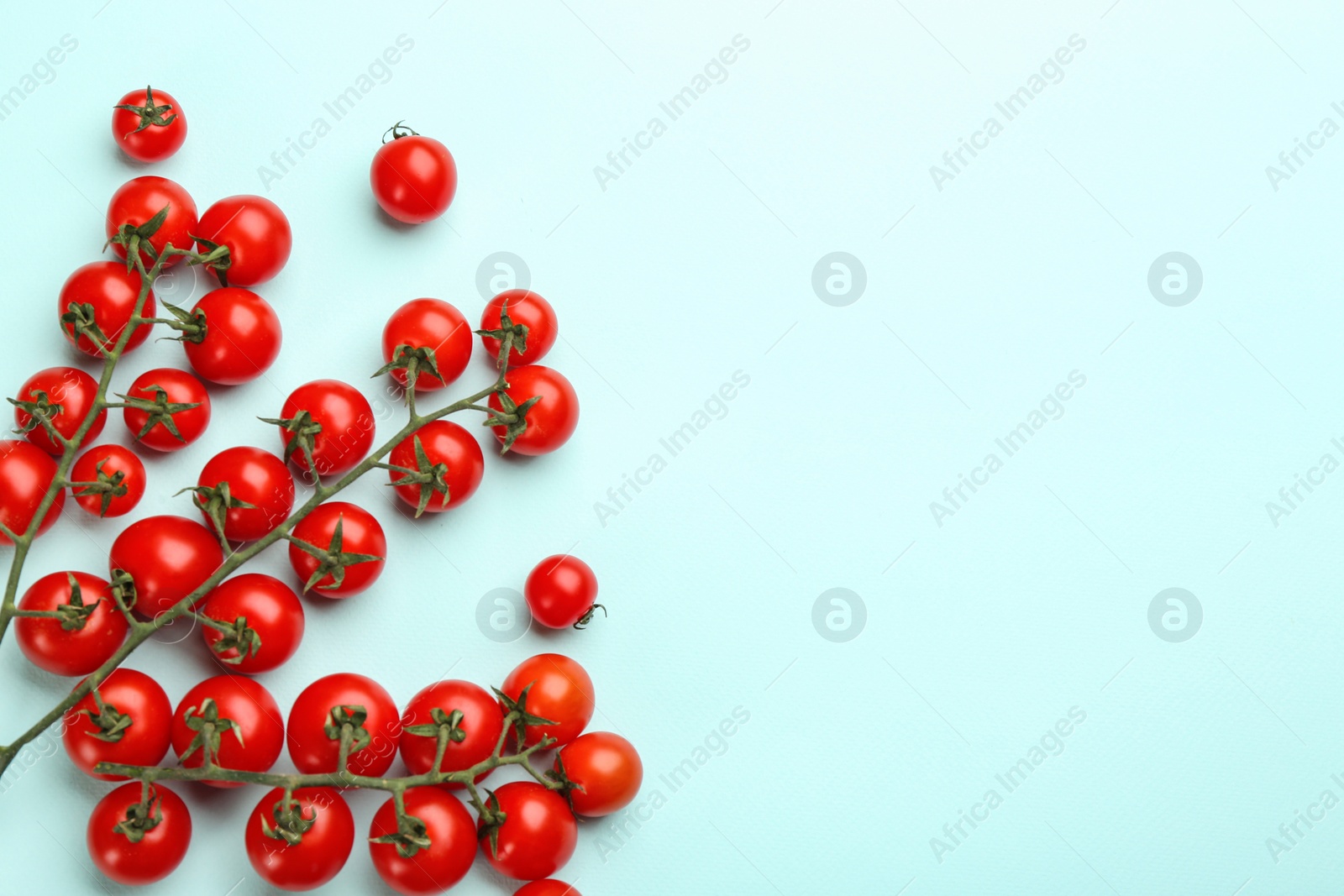 Photo of Branches with fresh cherry tomatoes on light blue background, flat lay. Space for text
