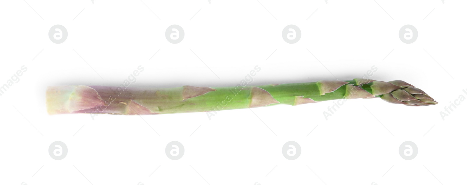 Photo of Fresh raw asparagus isolated on white. Healthy eating