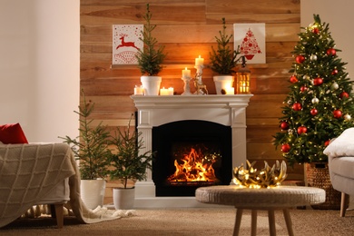Photo of Beautiful room interior with potted firs, fireplace and decorated Christmas tree