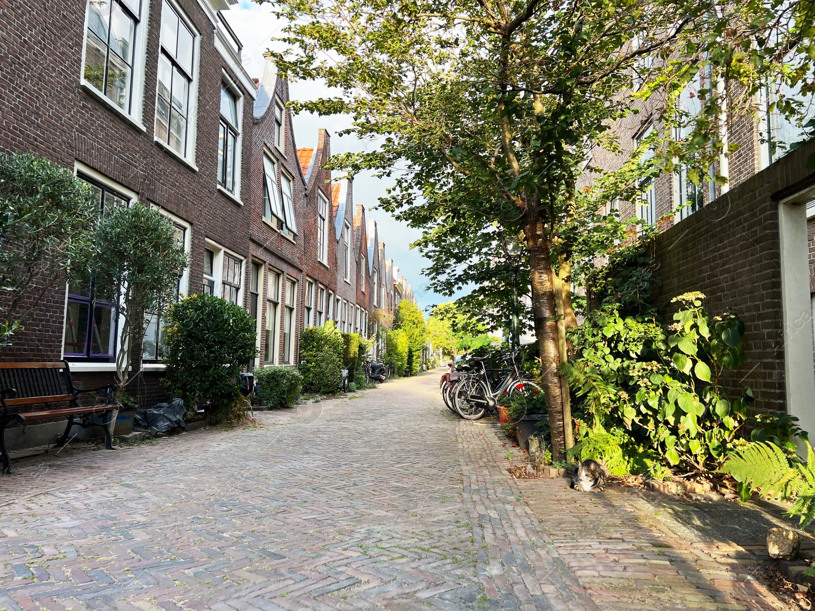 Photo of City street with beautiful buildings, bench and plants